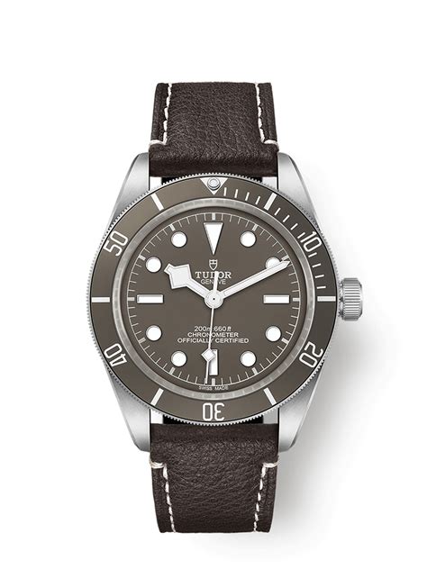 tudor black bay 925 tarnish|tudor 79010sg.